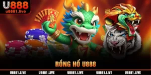 rồng hổ U888